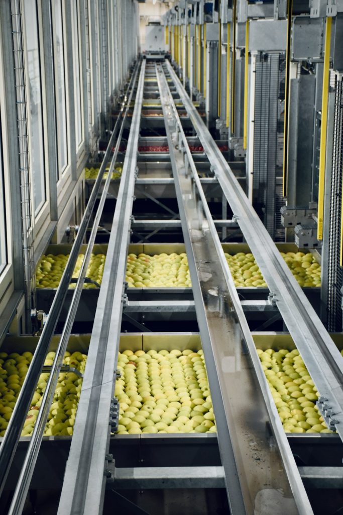 Mastering the First Impression: Your intriguing post title goes here Inside an apple processing company in northern Italy