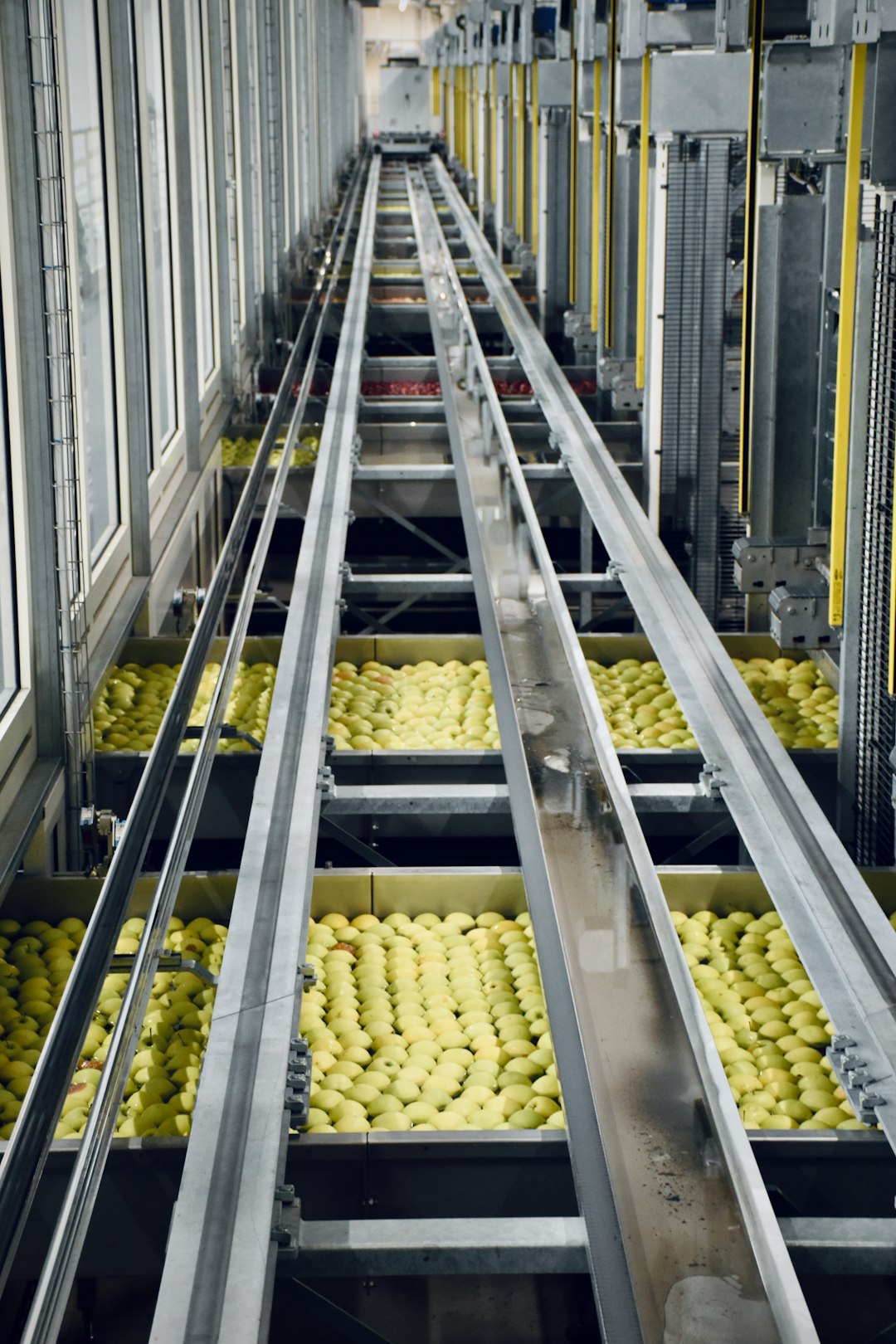 Mastering the First Impression: Your intriguing post title goes here Inside an apple processing company in northern Italy